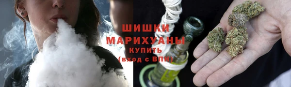 spice Тольятти