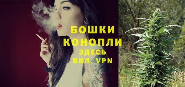 spice Тольятти