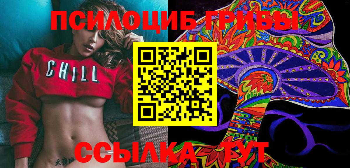 Псилоцибиновые грибы Psilocybine cubensis  Назрань 